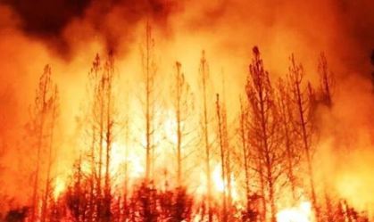 Incêndios nos EUA: mortes vão a 15; Oregon evacua mais de 10% da população