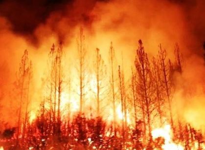 Incêndios florestais forçam evacuação no Oregon