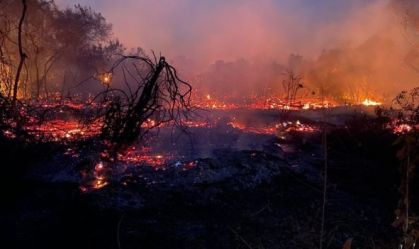 Fogo no Pantanal