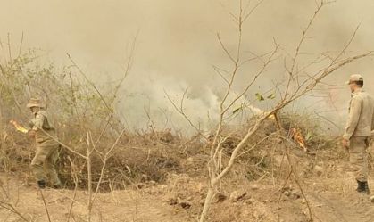Com fim do mês, Pantanal tem setembro e ano com mais queimadas da história