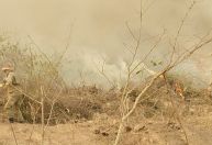 Sudeste tem o maior número de queimadas no mês de setembro em 10 anos, aponta Inpe