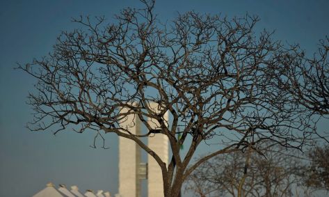 calor brasília umidade