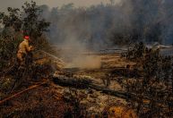 Média de queimadas diárias no Pantanal tem queda de 84%