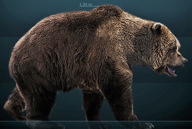 Representação gráfica de como era o urso das cavernas
