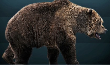 Carcaça de urso da Era do Gelo perfeitamente preservada é encontrada na Rússia