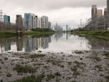 Governo de São Paulo fará pulverização contra pernilongos no Rio Pinheiros