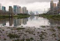 SP anuncia captação de R$ 530 milhões para despoluição do rio Pinheiros