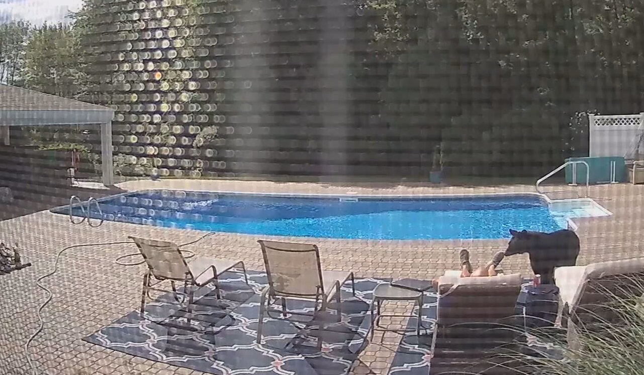 Urso se aproximou e pareceu cheirar o pé do homem, que acordou assustado 