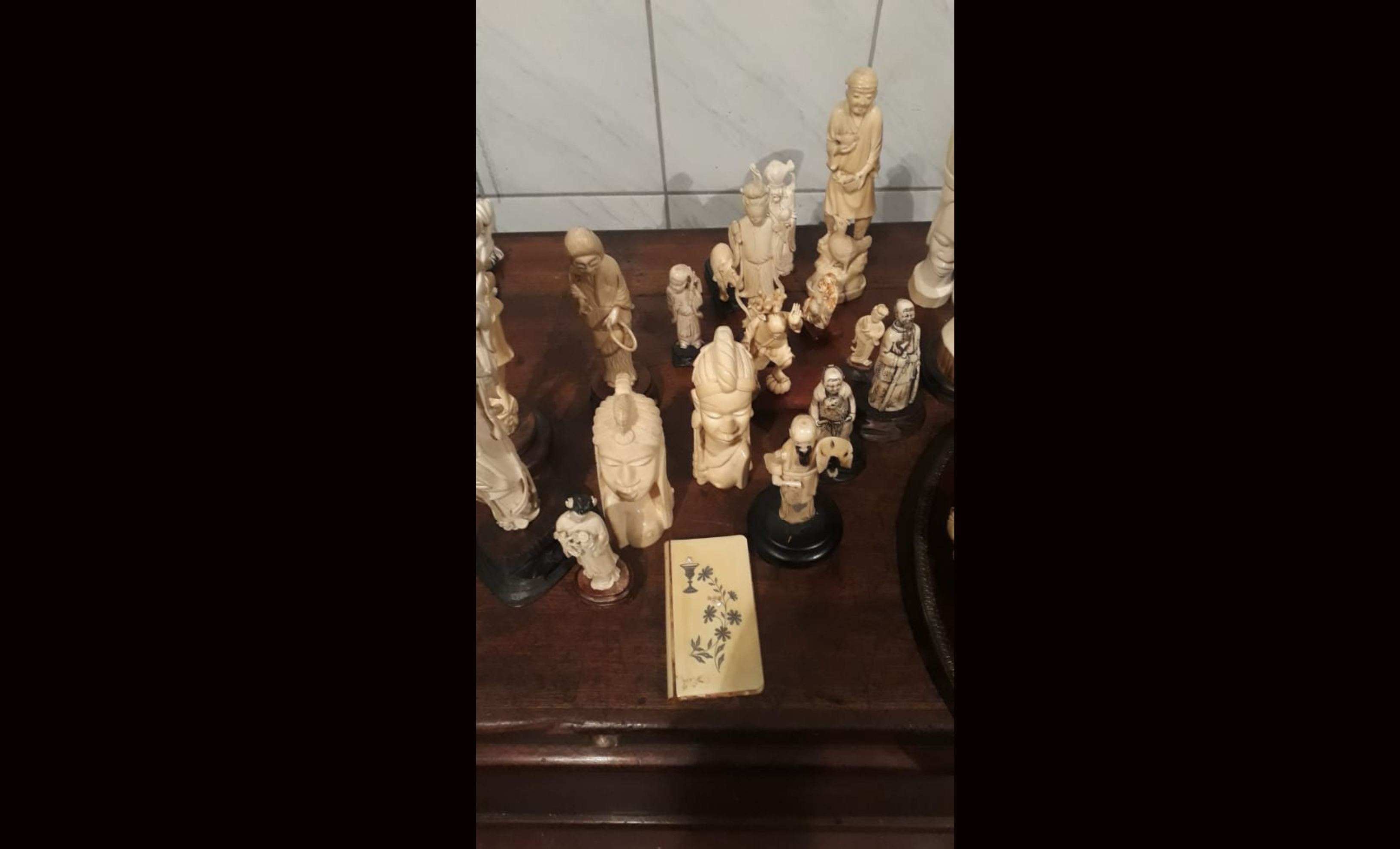 Peças de marfim apreendidas pela PF