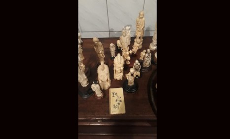 Peças de marfim apreendidas pela PF