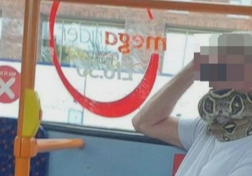 Homem foi visto com cobra enrolada no pescoço durante trajeto de ônibus na Ingla
