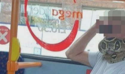 Passageiro é flagrado usando cobra como 'máscara' em ônibus na Inglaterra