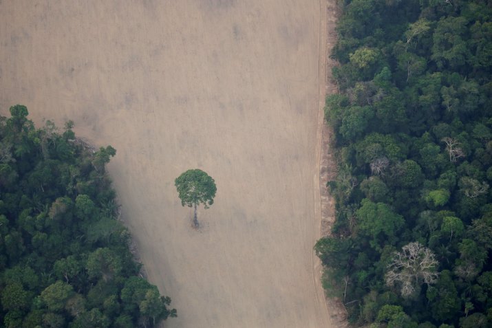 Vista de área desmatada na floresta amazônica perto de Porto Velho (RR) / Foto: Ueslei Marcelino/Reuters (21.ago.2019)