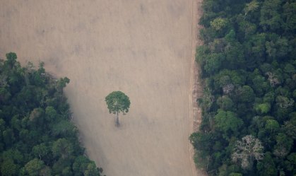 Vista de área desmatada na floresta amazônica perto de Porto Velho (RR)