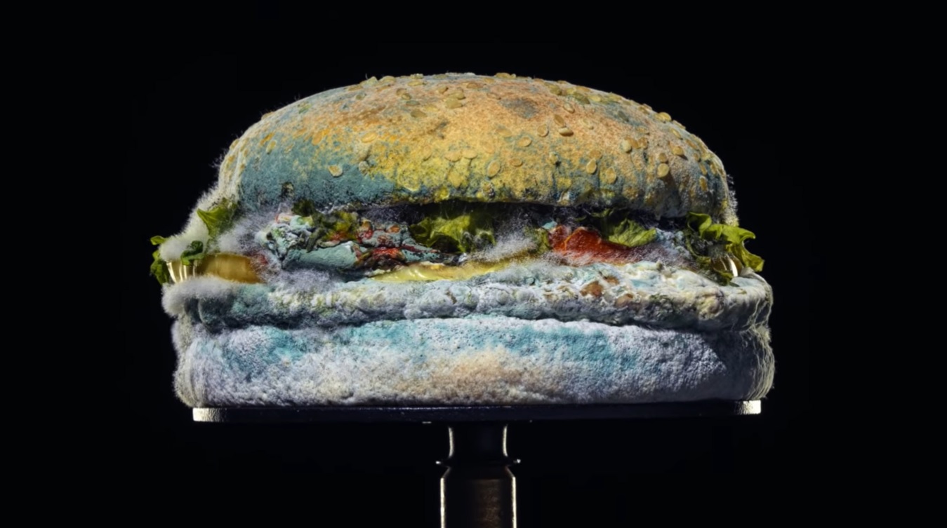 Hamburguer Mofado Burger King