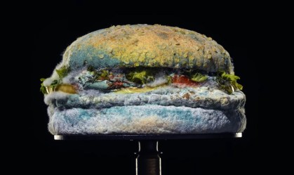 Hamburguer Mofado Burger King