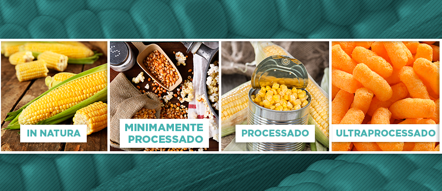 Guia Alimentar para a População Brasileira, processamento de alimentos