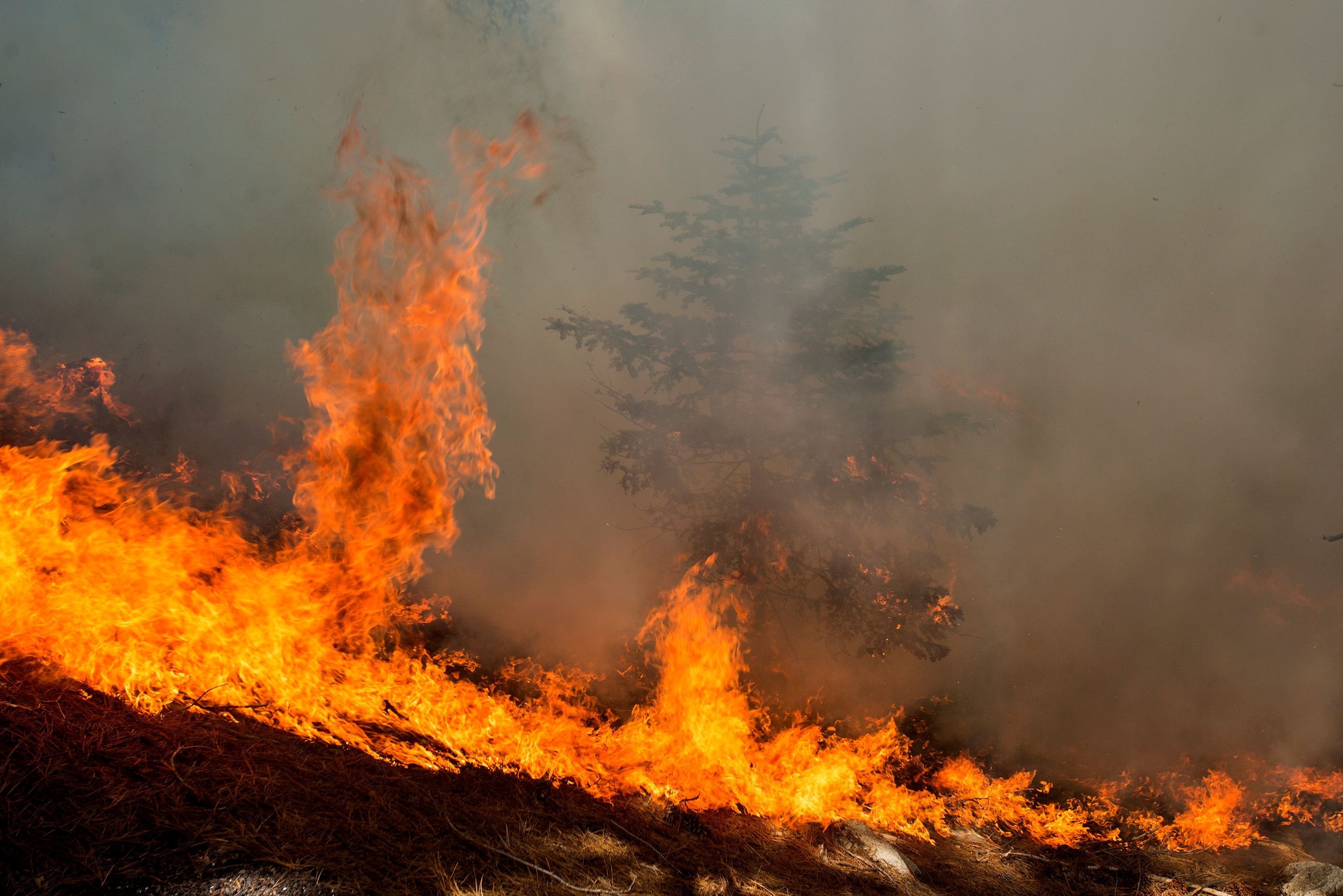 Incêndio florestal na Floresta Nacional de Angeles, no sul da Califórnia