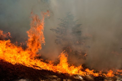 Incêndio florestal na Floresta Nacional de Angeles, no sul da Califórnia