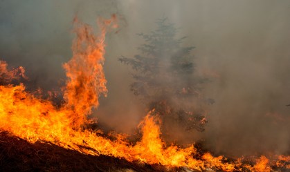 Governo Trump recusa ajuda financeira à Califórnia por incêndios florestais