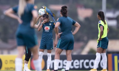 Arara invade o gramado e interrompe jogo-treino da seleção feminina