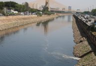 Com pandemia, poluição no rio Tietê reduz 8% em 2020, diz SOS Mata Atlântica