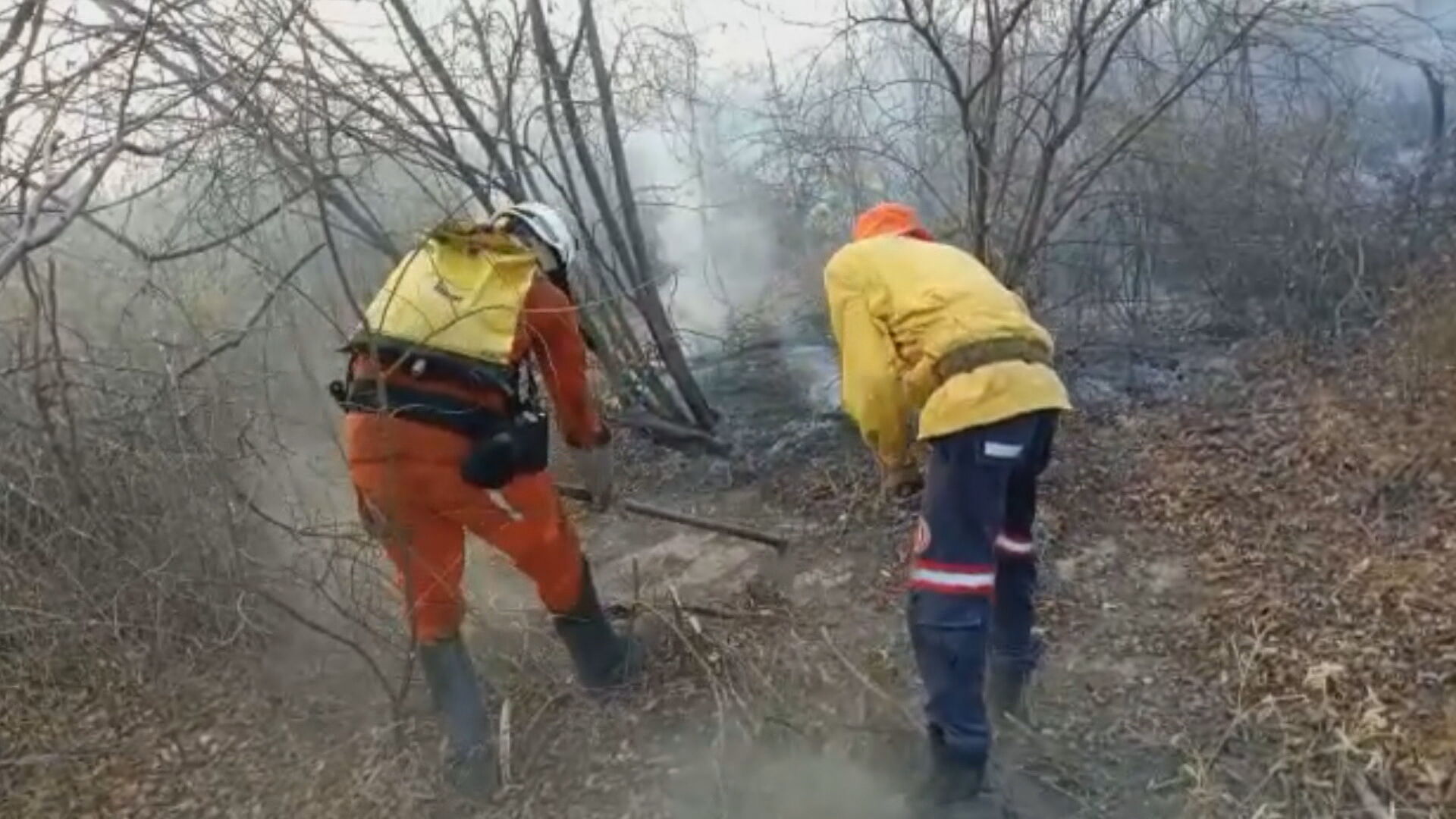 Incêndio atinge vegetação em Barra, no interior da Bahia