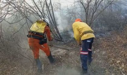 Incêndio atinge vegetação na região de Barra, no interior da Bahia