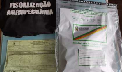Ministério investiga sementes enviadas com produtos comprados pela internet