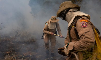 'Pantanal levará décadas para se recuperar', diz diretor de associação