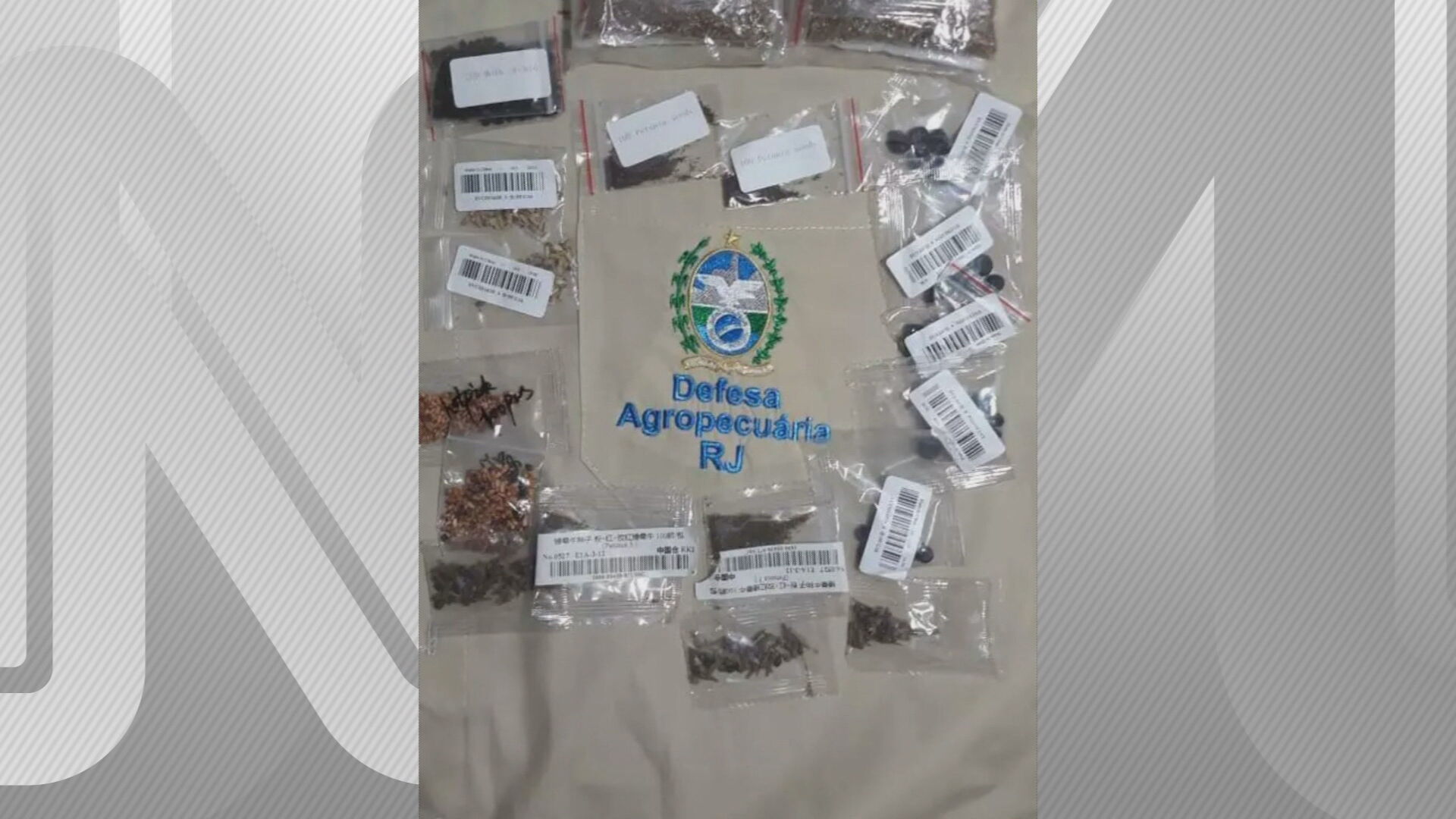 Sementes enviadas a moradores no Rio de Janeiro