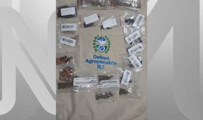 Rio de Janeiro já recolheu 25 pacotes de sementes vindos da Ásia