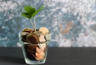 Investimentos sustentáveis: veja se vale a pena e quais cuidados é preciso ter