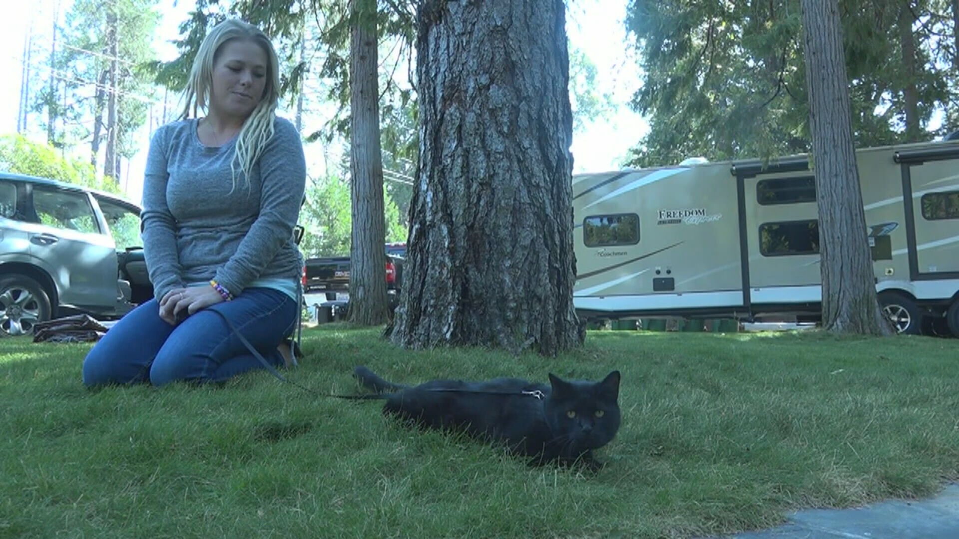 Lindsy Metz com o gato Artemis, que desapareeceu durante o incêndio em 2018