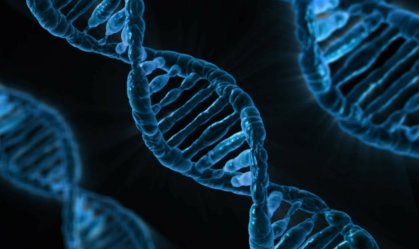 Cadeia de DNA