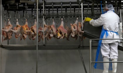Exportação de carne de frango do Brasil recua 2,3% em setembro, indica ABPA