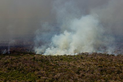 Incêndios batem recorde na região do Pantanal