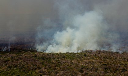 Comissão do Senado aprova pedido para Pantanal entrar no Conselho da Amazônia