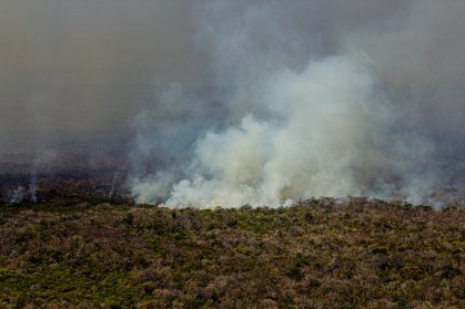 Incêndios batem recorde na região do Pantanal