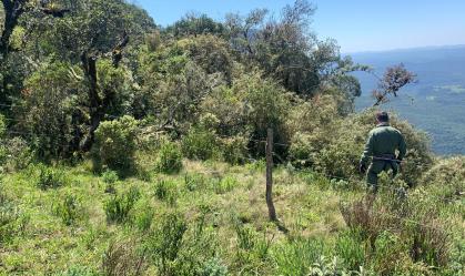 Alpinista morre e outro fica preso após pedra deslizar em serra de SC