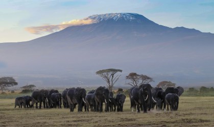Incêndio atinge encostas do Monte Kilimanjaro, maior montanha da África