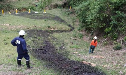 Transpetro e Inea tentam remediar impacto de vazamento em área de proteção no RJ