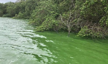 Cor esverdeada em canal da Barra da Tijuca, no Rio, acende alerta ambiental