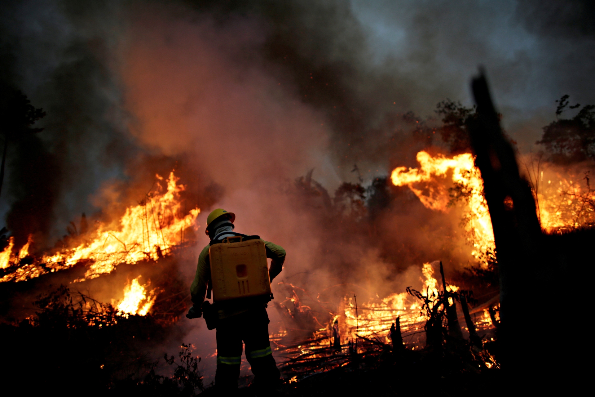 Bombeiro de brigada do Ibama combate foco de incêndio perto de Apuí (AM)