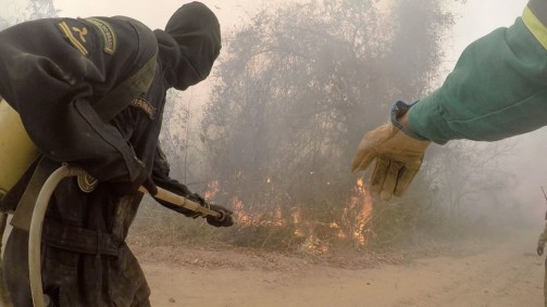 Brigadistas com mangueira no Pantanal