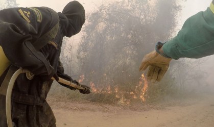 Séries Originais de hoje expõe a devastação do Pantanal pelo fogo