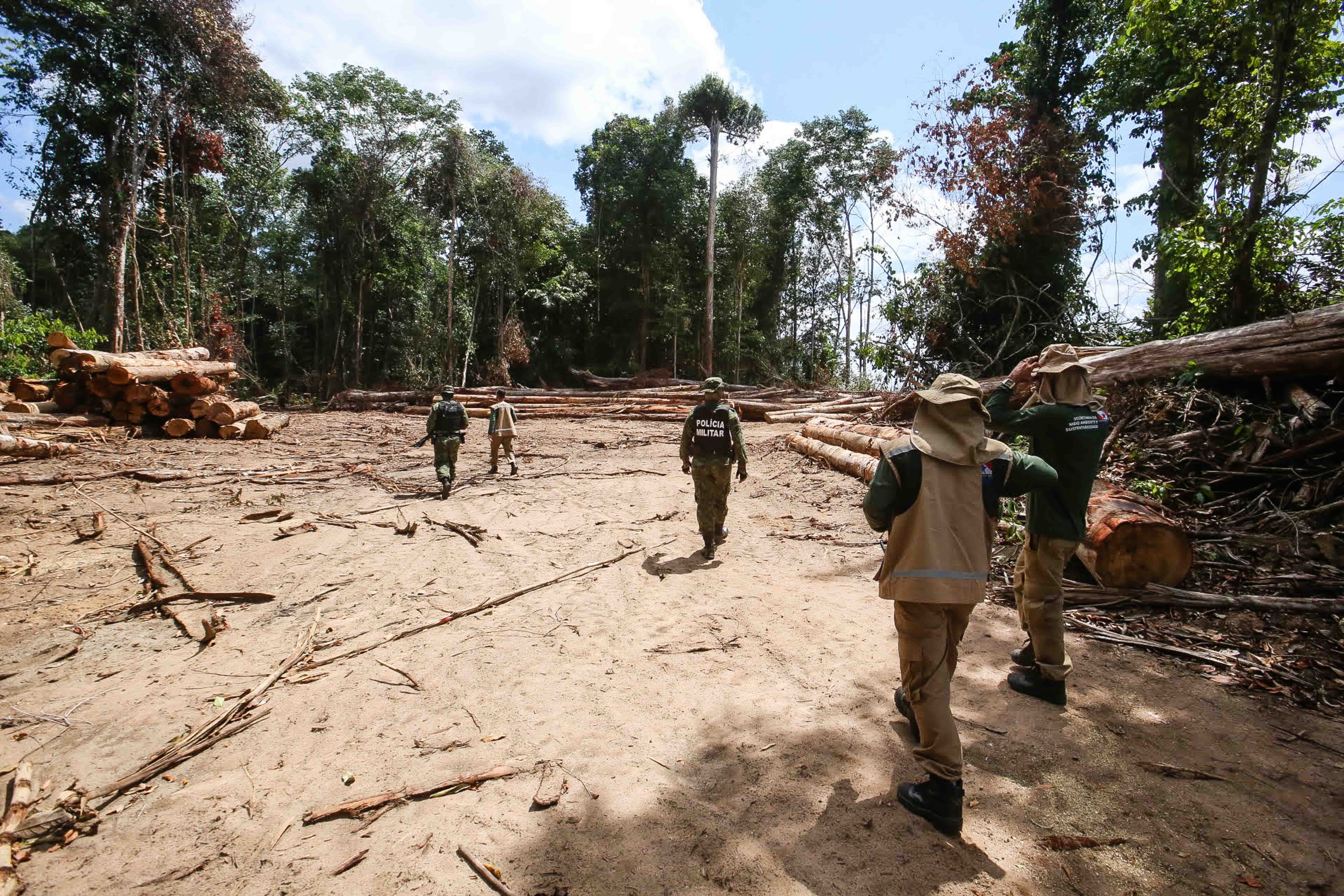 Desmatamento no Pará Desmatamento no Pará