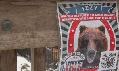 Zoológico nos Estados Unidos realiza 'disputa animal' para presidente