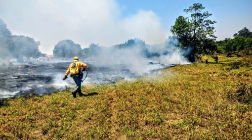 Incêndio no Distrito Federal