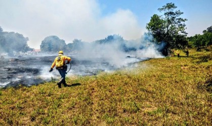 Mesmo com seca e calor recorde, incêndios florestais no DF caem 50%